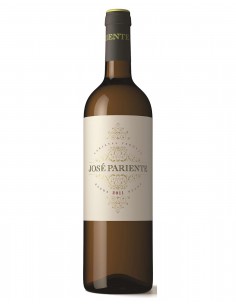 Jose Pariente Verdejo 2020 75 cl.