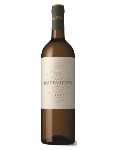 Jose Pariente Verdejo 2020 75 cl.