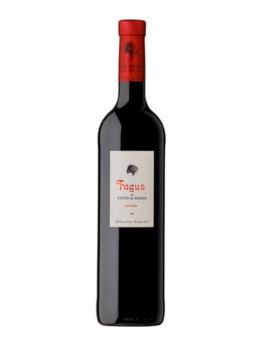 Fagus de Coto de Hayas 2021 75 cl.