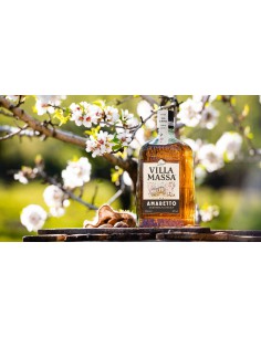 Amaretto Villa Massa 70 cl. 2