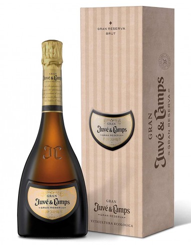 Gran Juvé y Camps Brut 2015 75 cl.