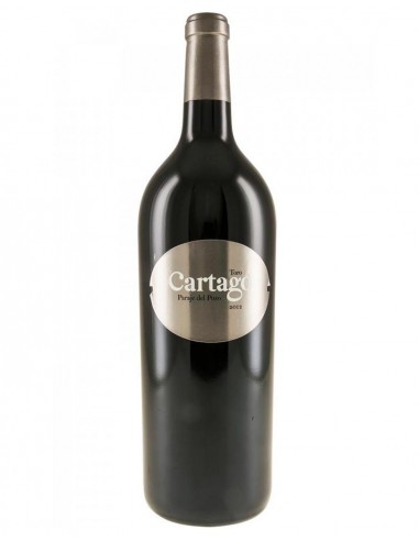 Cartago 2014 Magnum 1,5L red wine toro