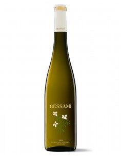 Gramona Gessami 2025 75 cl.