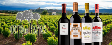 Coto de Hayas Wine Bodegas Aragonesas Campo de Borja Garnacha